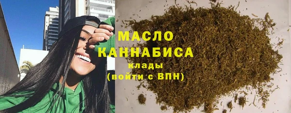 гидра Карпинск