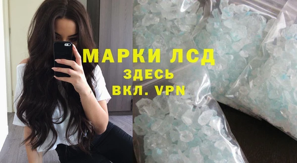 гидра Карпинск
