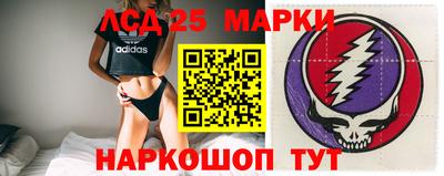прущие грибы Абакан