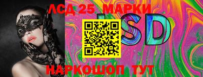 прущие грибы Абакан