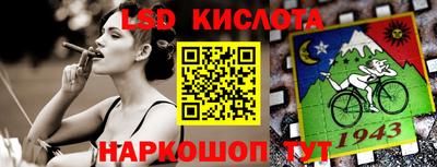 прущие грибы Абакан