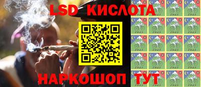 PSILOCYBIN Можга