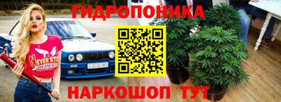 прущие грибы Абакан