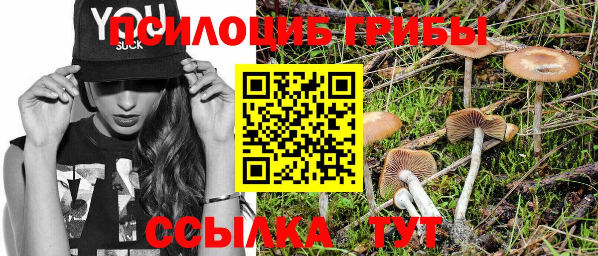 Псилоцибиновые грибы Psilocybe  Вход с VPN  Нижний Новгород 