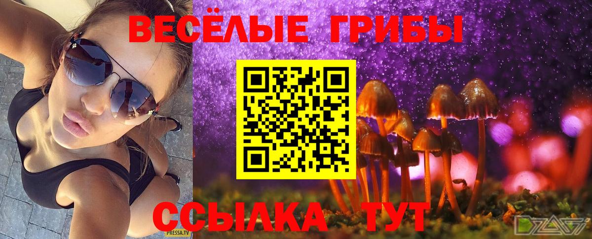 Псилоцибиновые грибы Magic Shrooms Нижний Новгород